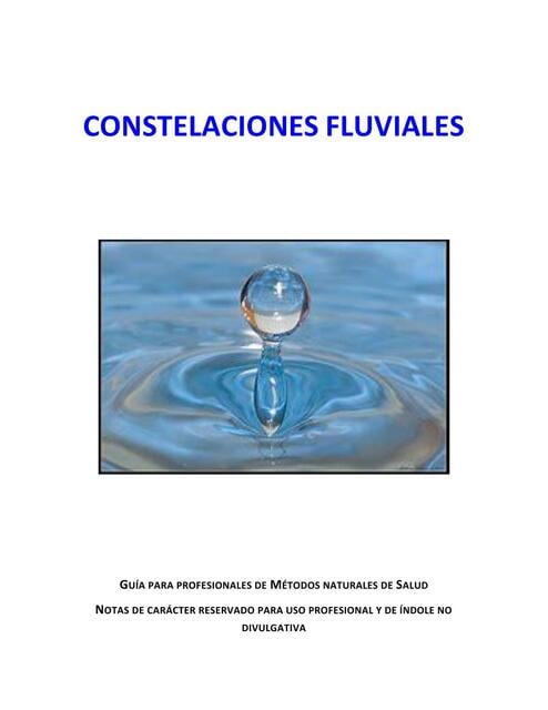 Constelaciones Fluviales | Dora Alicia Pimentel Meza | uDocz
