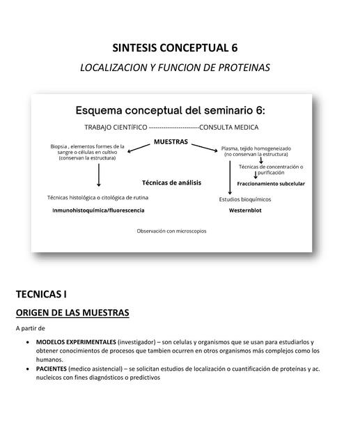 Localización y función de proteínas