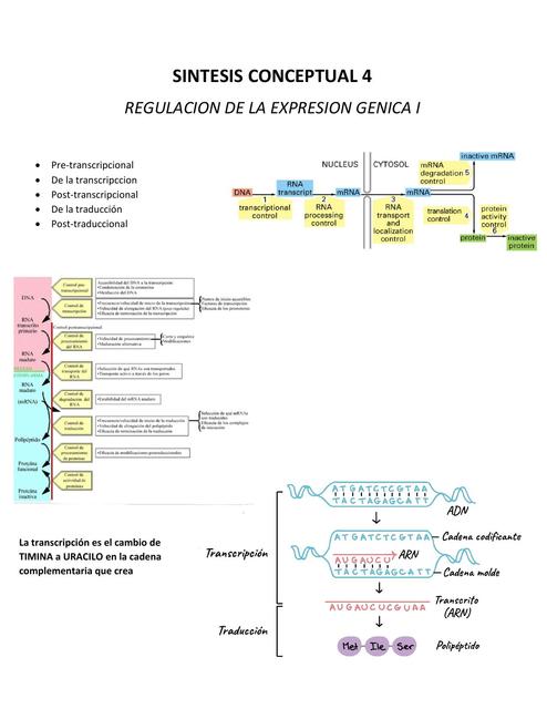 Regulación de la expresión génica 