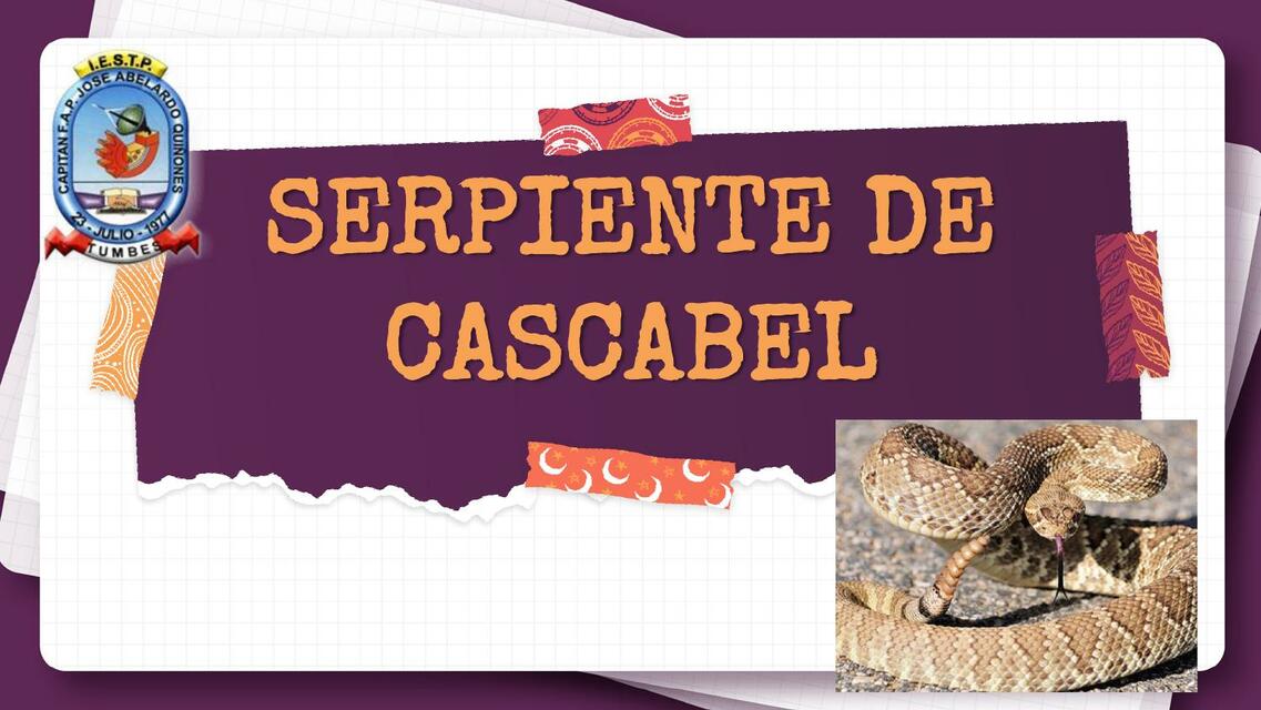 Serpiente de Cascabel 