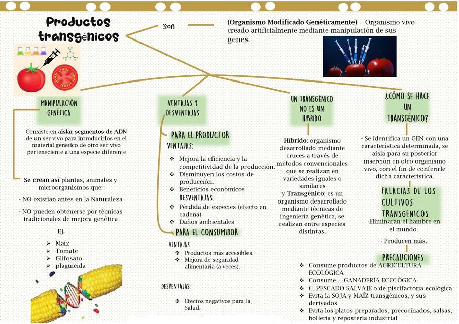 Productos Transgénicos 