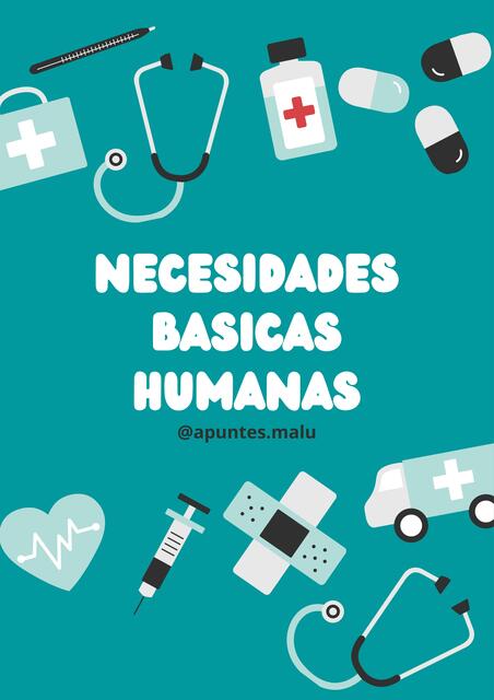 Necesidades Básicas Humanas