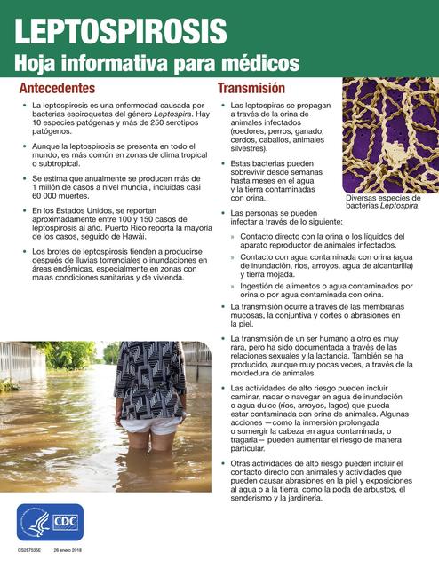 Leptospirosis 