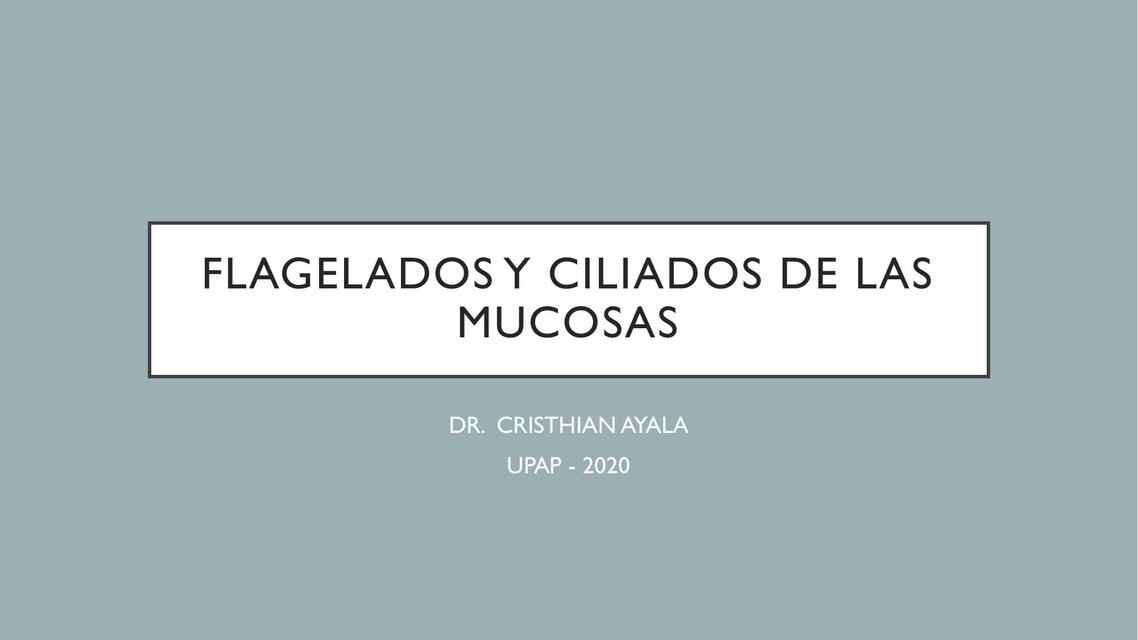 Flagelados y Ciliados de las Mucosas 