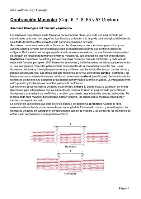 Fisiología - Contracción Muscular