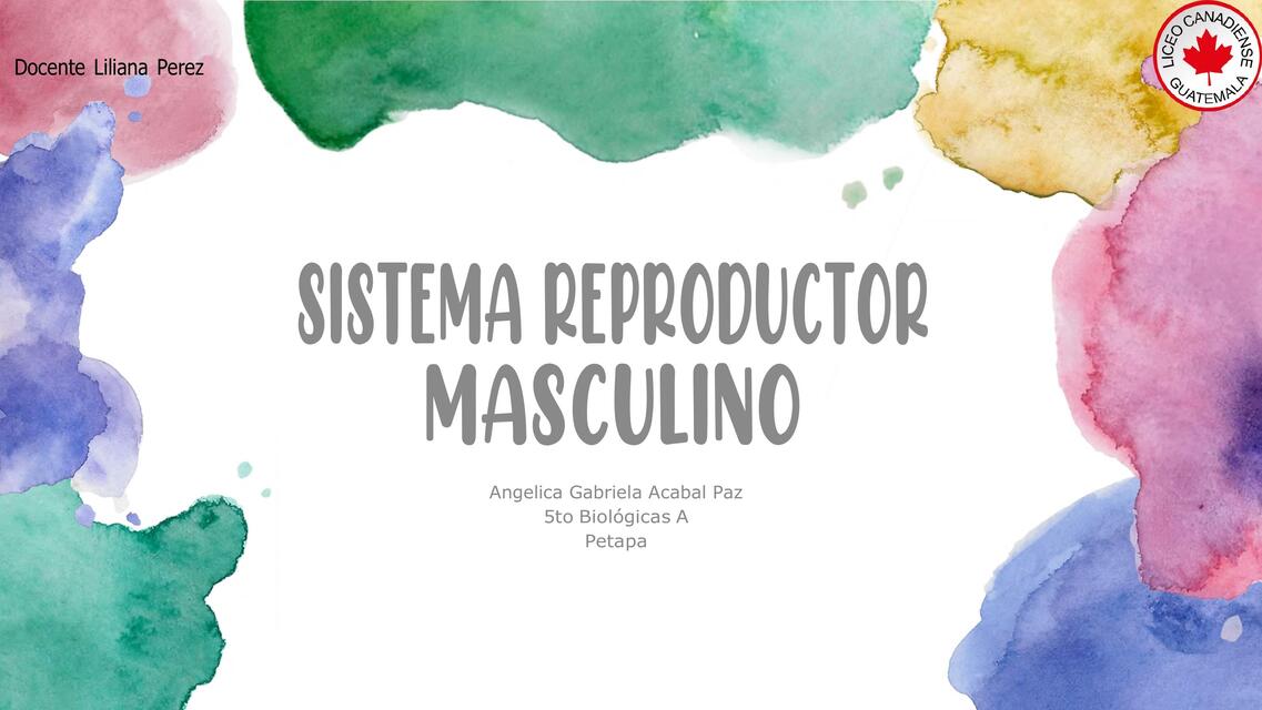 Tarea 2 y 3 Sistema Reproductor Masculino 