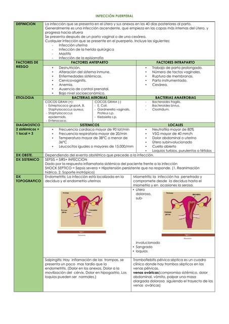 Infección Puerperal 