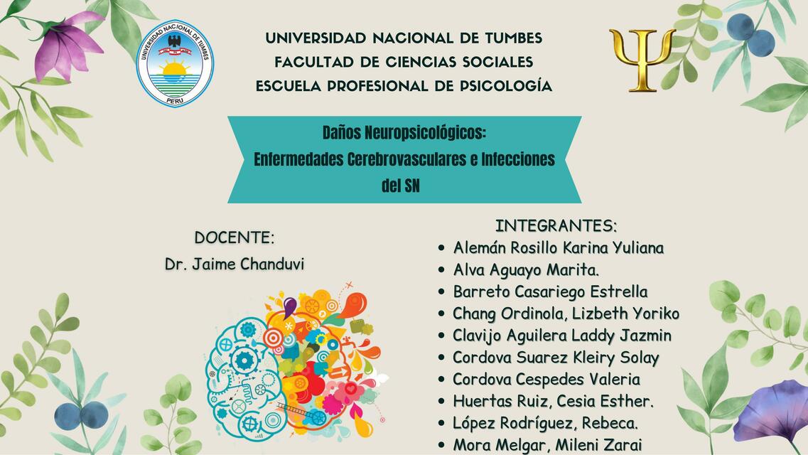 Daños Neuropsicológicos: Enfermedades Cerebrovasculares e Infecciones del SN