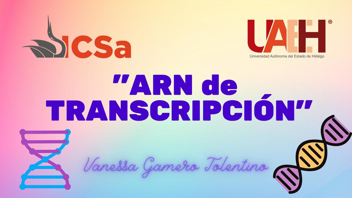 ARN de transcripción