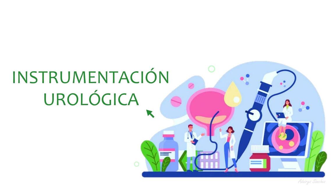 Instrumentacion Urologica Adairys Sanchez