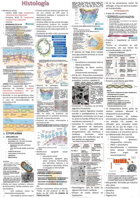 Histología 