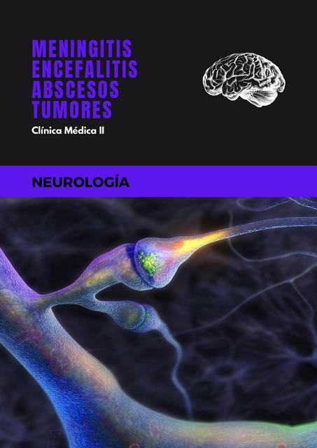 Meningitis Encefalitis Abscesos