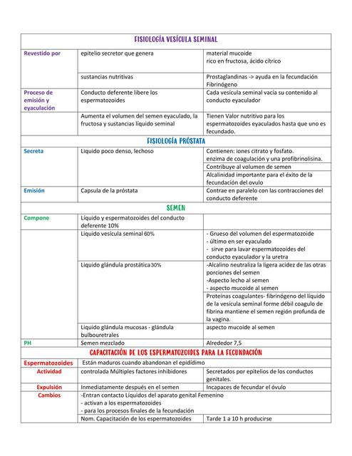 Fisiología- Sistema Reproductor Masculino