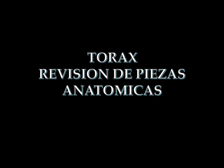 Tórax- Revisión de Piezas Anatómicas 