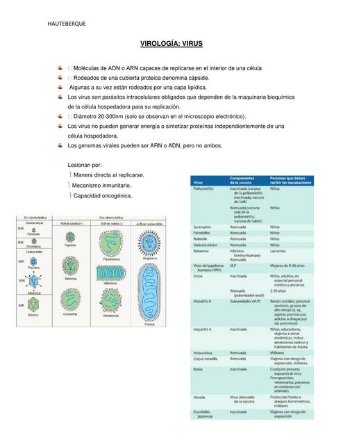 Virología: virus