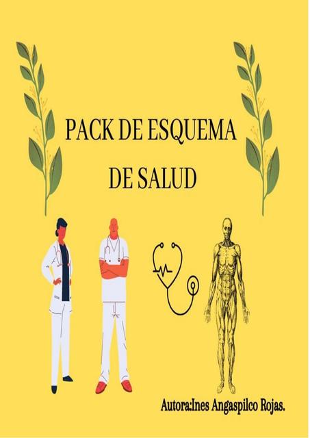 Pack de esquemas de salud Inés Sangaspilco