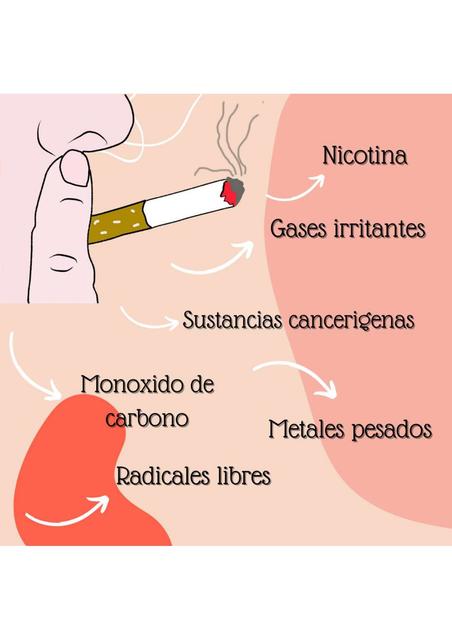 Sustancias nocivas del Cigarro Fermedvlog