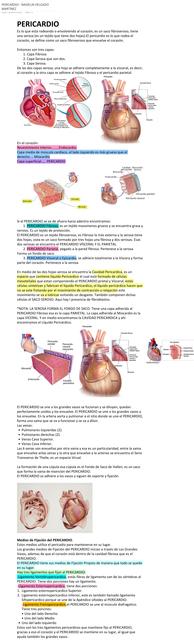 Anatomía del pericardio 