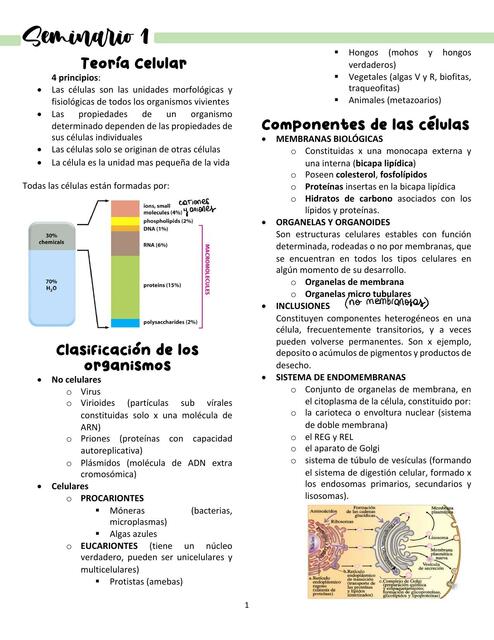 Biología Celular Sem 1 Cat 3 UBA