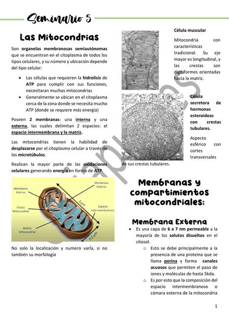 Biología Celular Sem 5 CAT 3