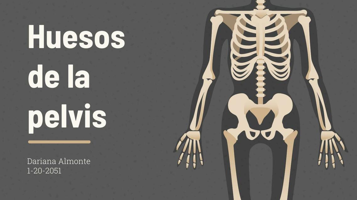 Huesos de la Pelvis