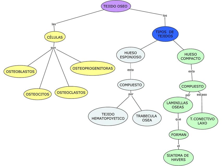 Histología del Tejido Óseo 