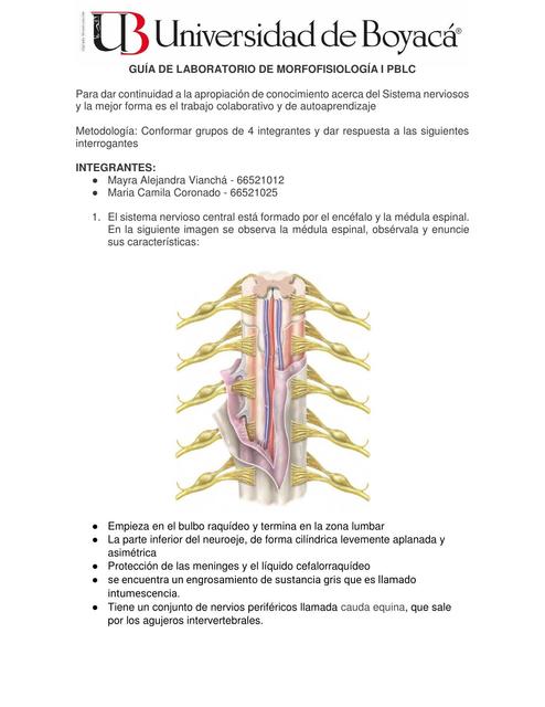 Guía de laboratorio SN