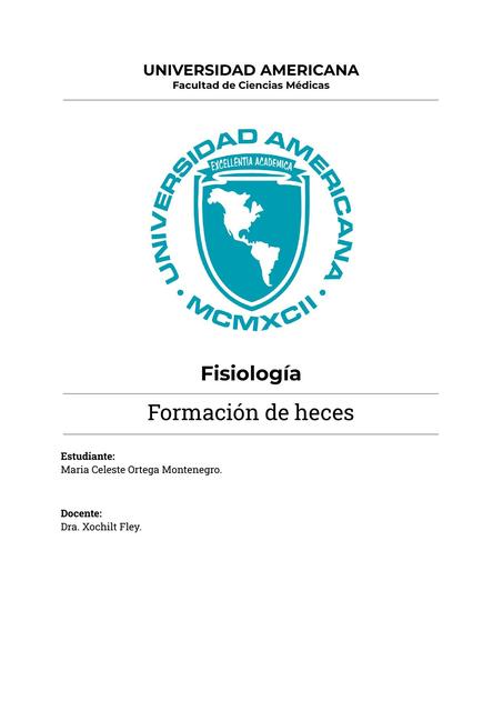 Formación de heces