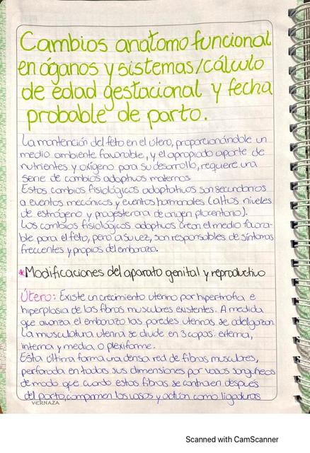 Cambios anatomofuncionales en  órganos según la edad gestacional y fecha probable de parto 