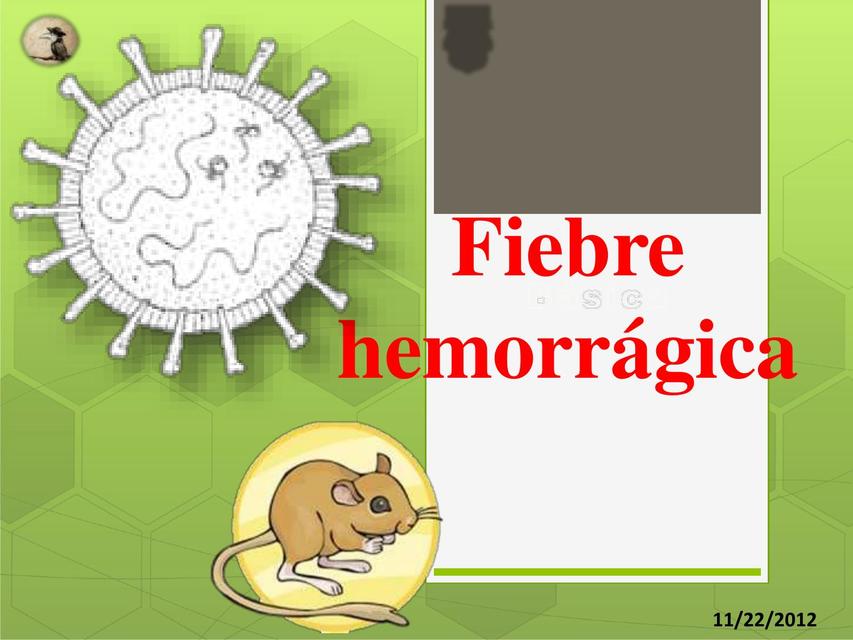 Fiebre Hemorrágica 