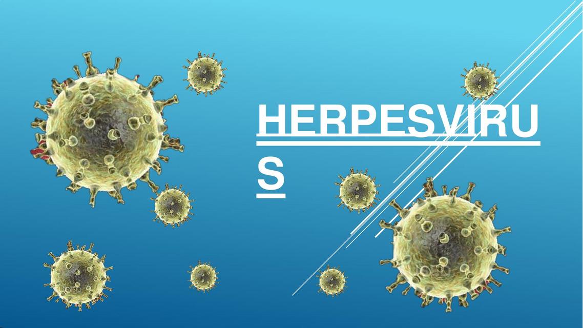 Herpesvirus 