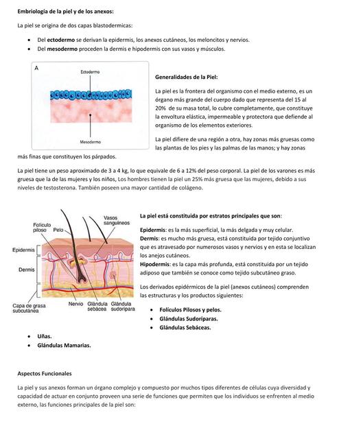Piel y Anexos