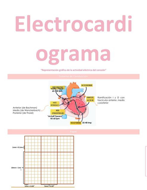 Electrocardiograma