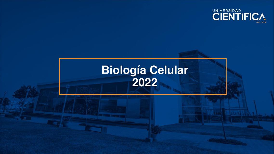 Biología Celular Reconocimiento de célula procariota y eucariota 6 16