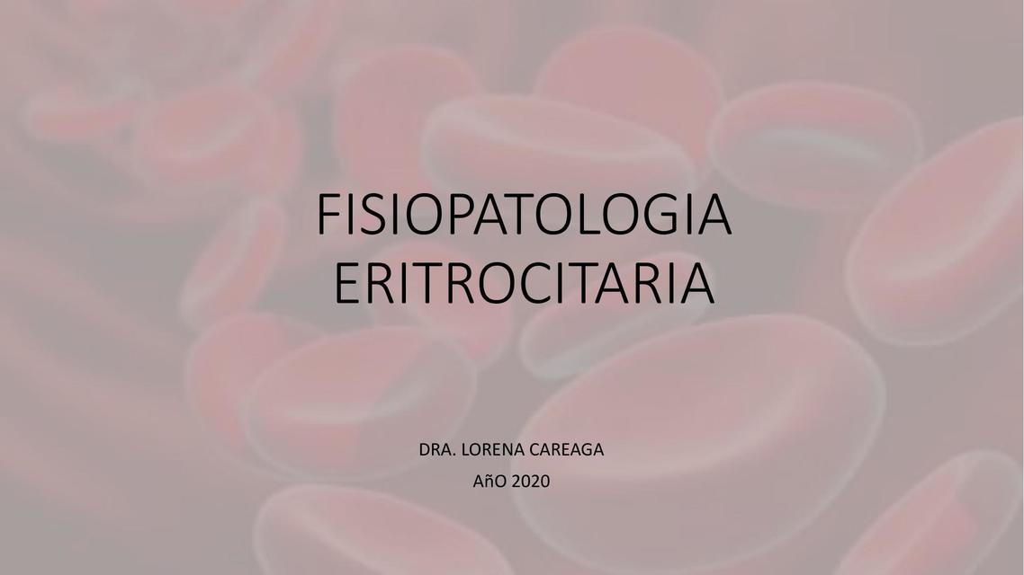 Fisiopatología Eritrocitaria 