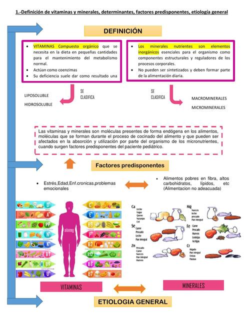 Vitaminas y Minerales 