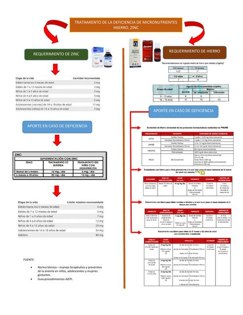 Tratamiento de la Deficiencia de Micronutrientes Hierro, Zinc 