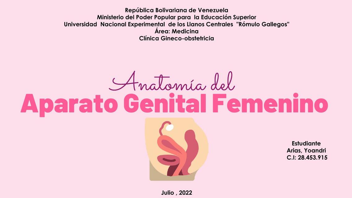 Anatomía del aparato genital femenino 