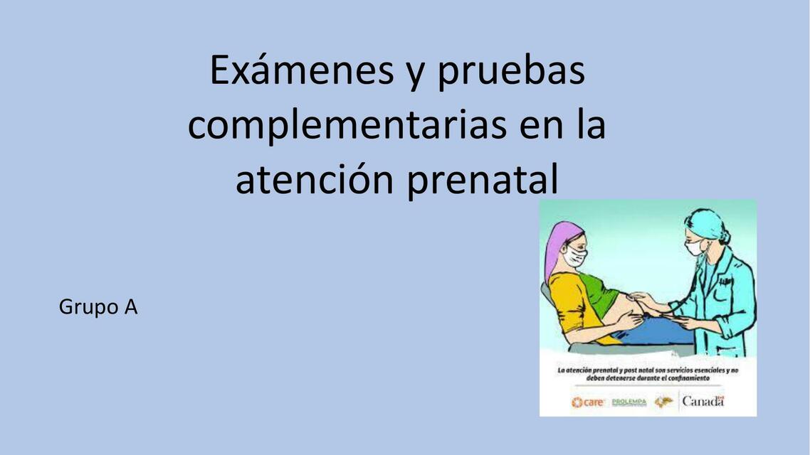 Exámenes y Pruebas Complementarias en la Atención Prenatal