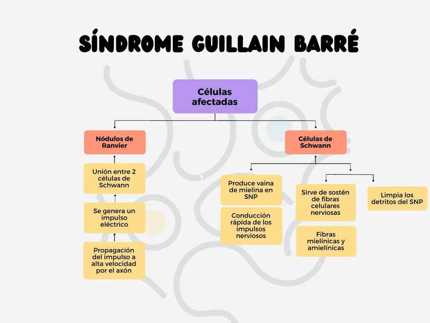 Síndrome Guillain Barré 