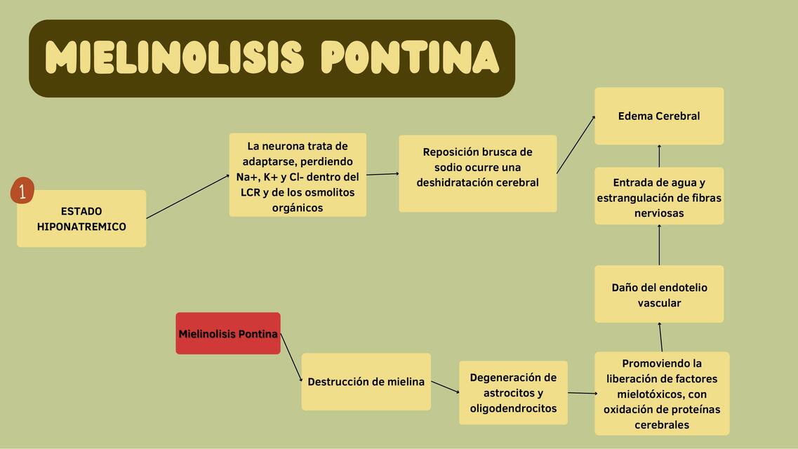 Mielinolisis Pontina