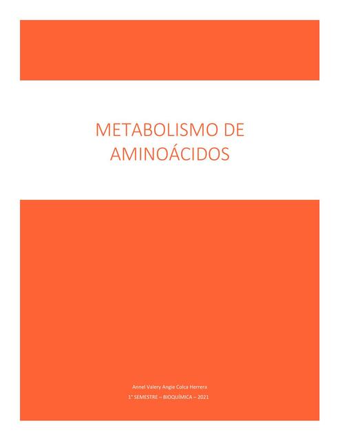 Metabolismo de aminoácidos