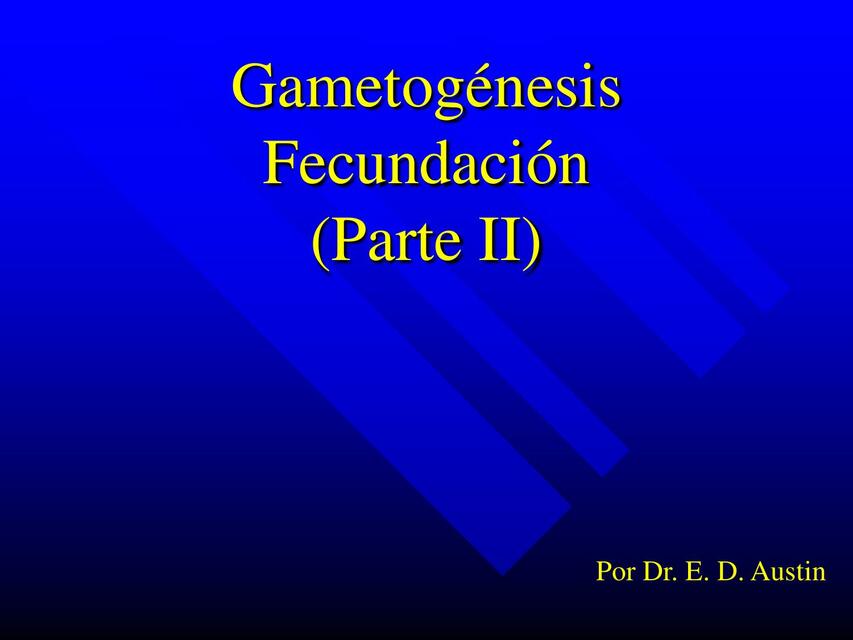 Gametogénesis Fecundación Parte II