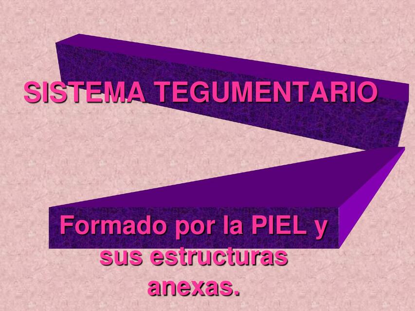 Sistema Tegumentario