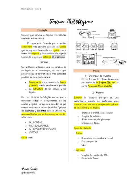 Técnicas Histológicas