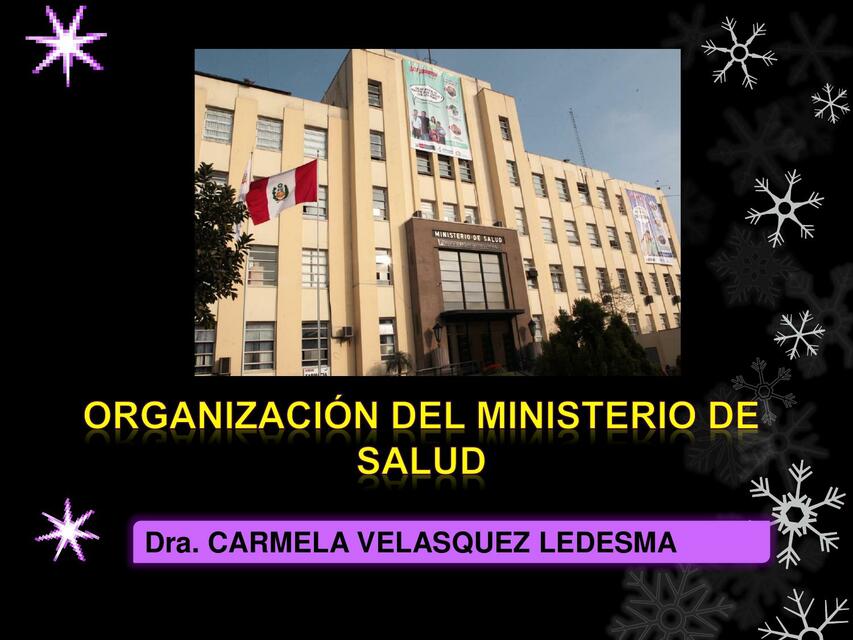 Organización del Ministerio de Salud 