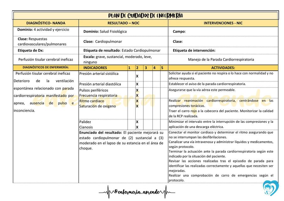 RCP Plan de Cuidados