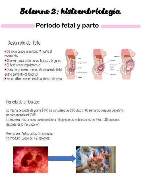 Periodo Fetal y Parto