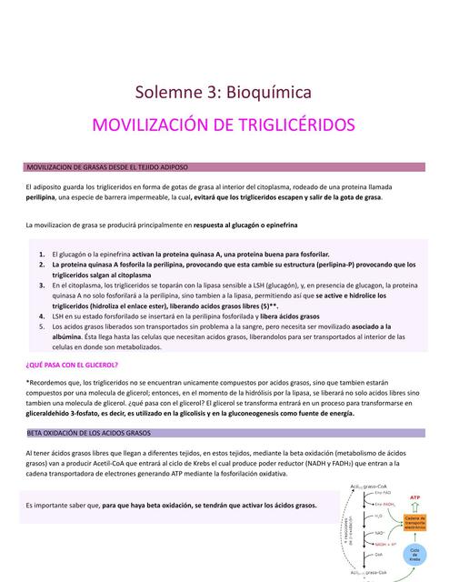 Solemne 3: Bioquímica 