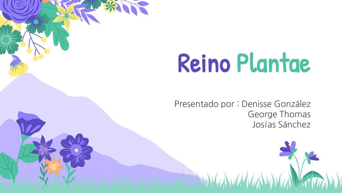 Reino Plantae 